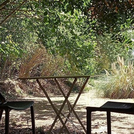 Les Restanques - Chambre D'Hotes Cuges-les-Pins Εξωτερικό φωτογραφία