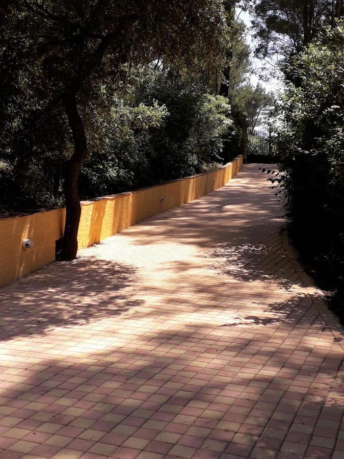 Les Restanques - Chambre D'Hotes Cuges-les-Pins Εξωτερικό φωτογραφία